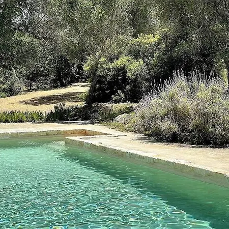 Casina Gargiulo - Alloggi Con Piscina *